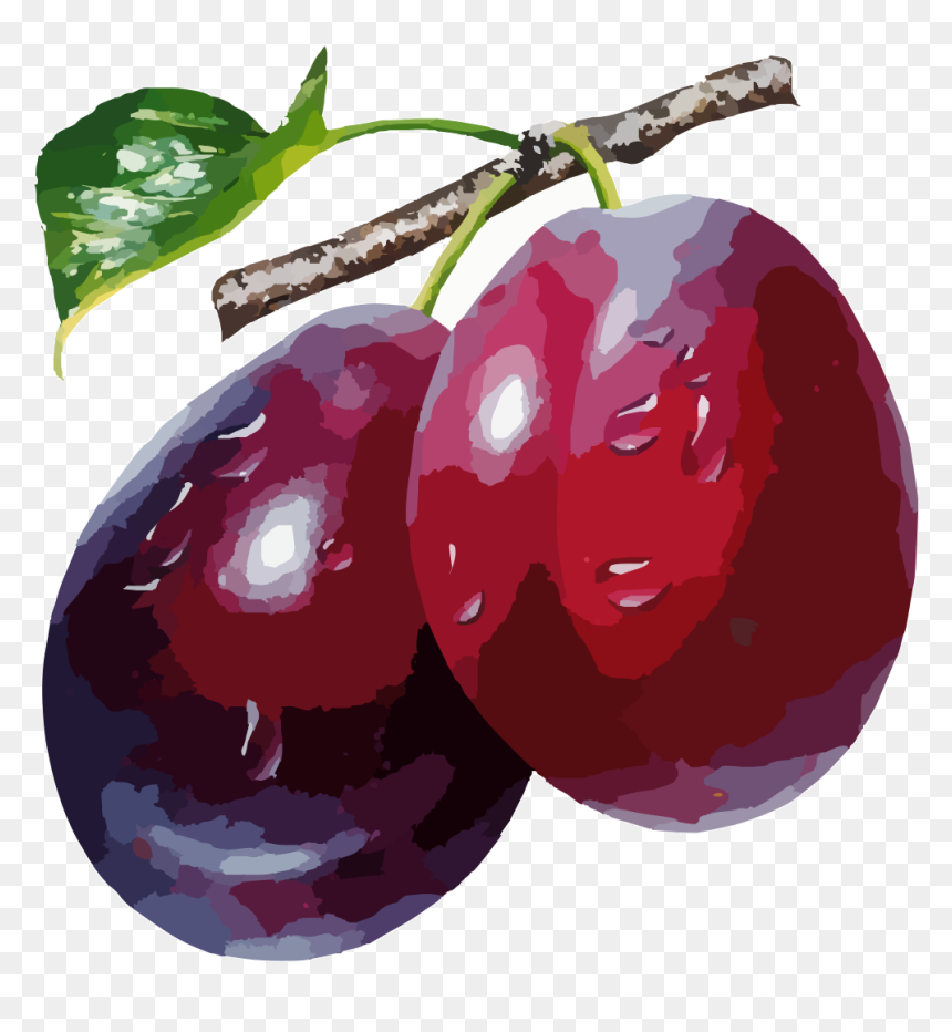 Plums Png, Transparent Png - fruit clipart png