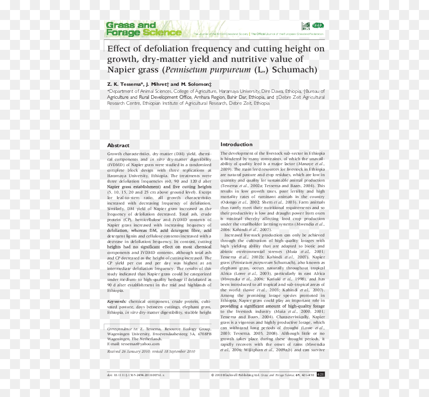 Document, HD Png Download - dry grass png