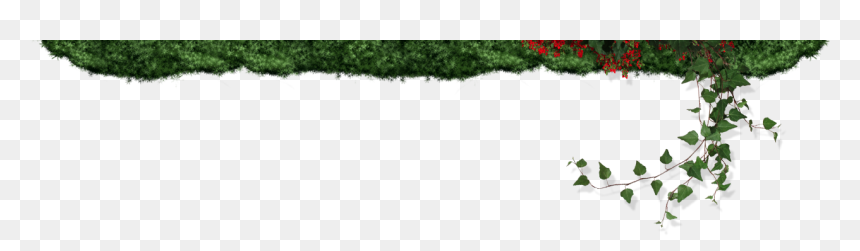 Outdoor Kitchens, Retaining Walls, Dry Creek Beds And - Grass, HD Png Download - dry grass png
