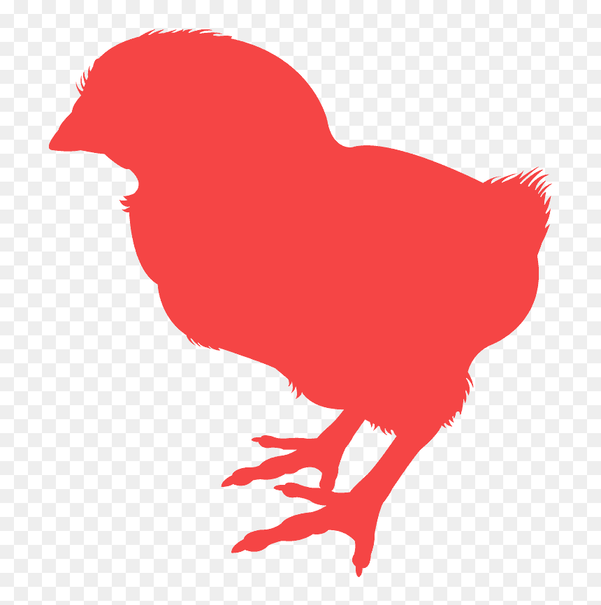 Baby Chick Silouette Clip Art, HD Png Download - chicken silhouette png