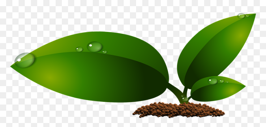 Leaf Embellishment Cliparts 18, Buy Clip Art, HD Png Download - hoja png