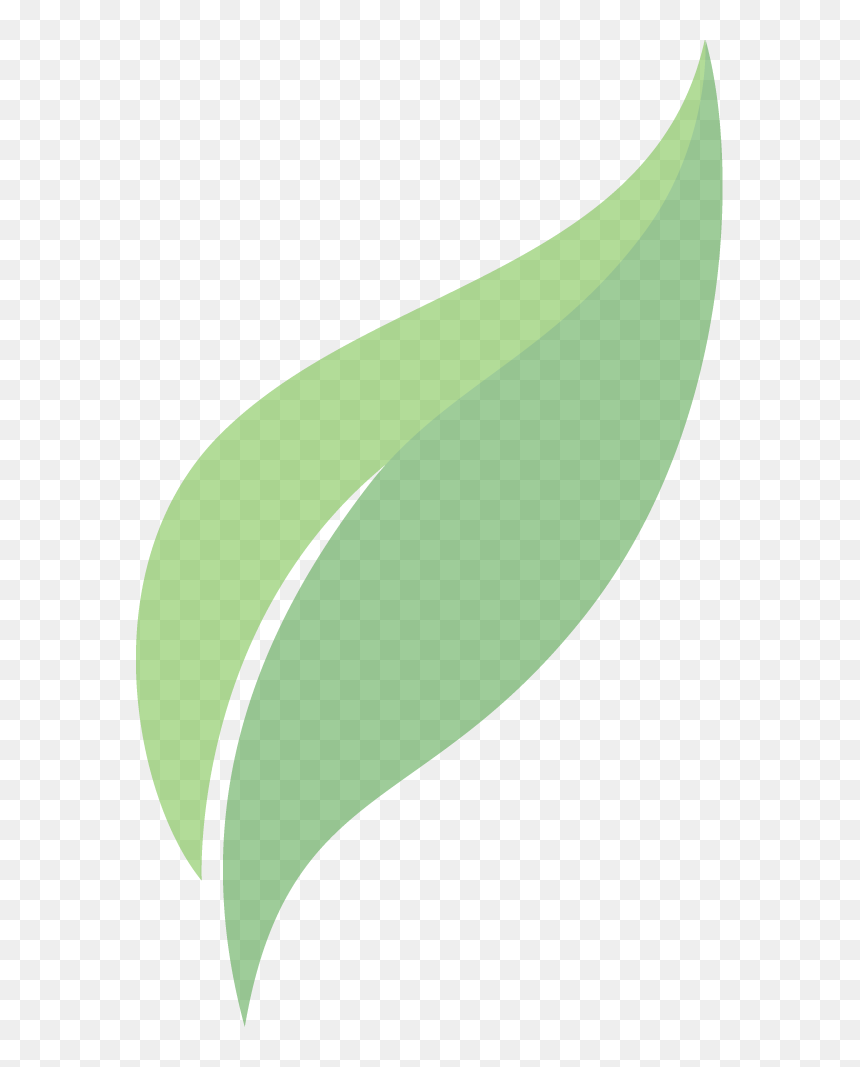 Hoja Pronaca , Png Download - Hoja De Pronaca, Transparent Png - hoja png
