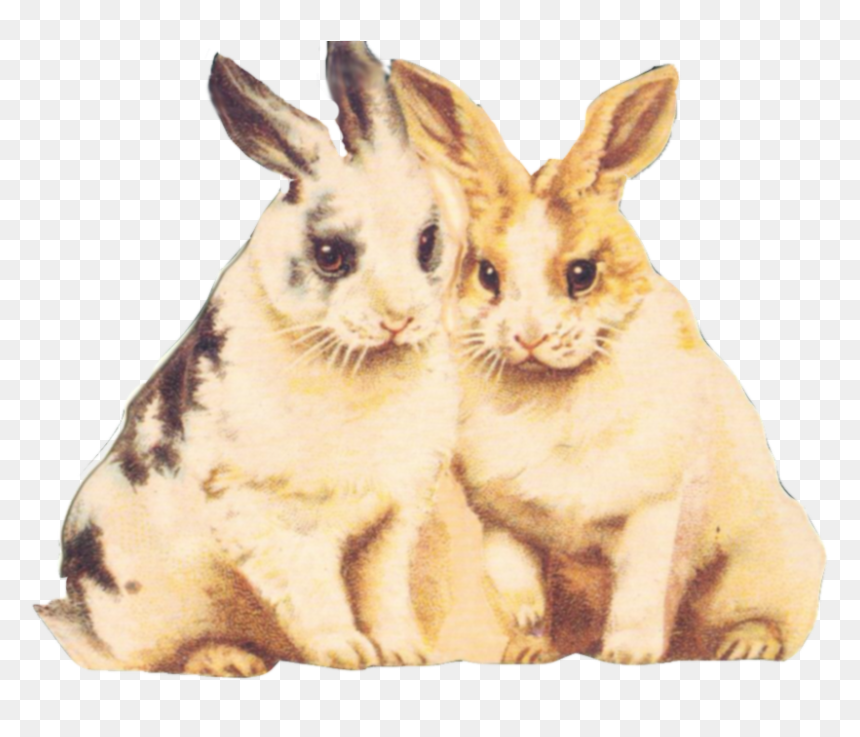 Rabbit Clipart Fur - Happy Easter Card To Print For Free, HD Png Download - rabbit clipart png