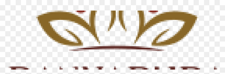 Transparent Brains Png - Caldaia, Png Download - brains png