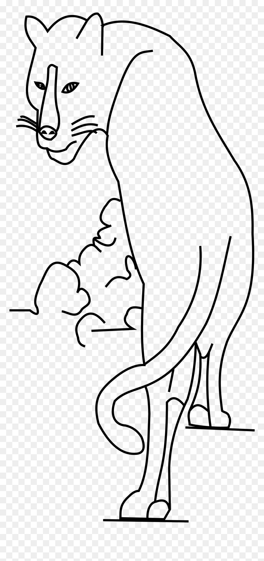 Blank Big Cat Clip Arts - Big Cat, HD Png Download - blank book png