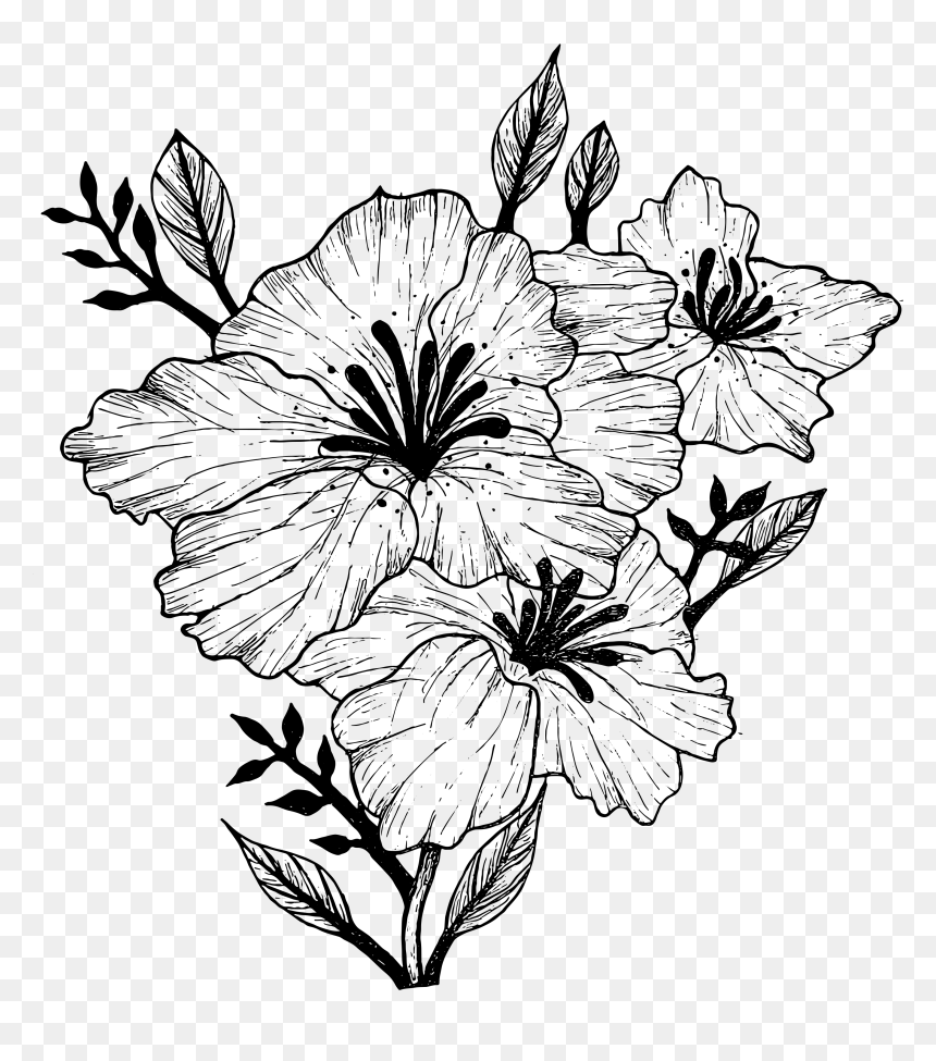 Flower Sketch Png, Transparent Png - flower sketch png