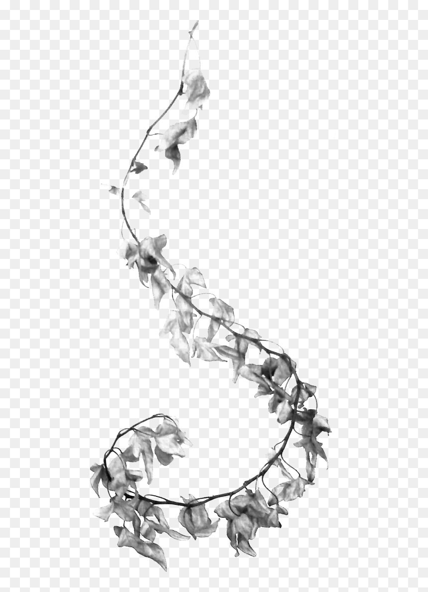 Sketch , Png Download - Sketch, Transparent Png - flower sketch png