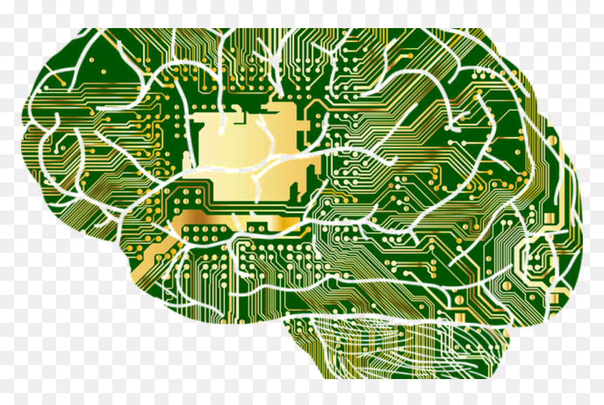 Machine Learning And Dementia, HD Png Download - brains png