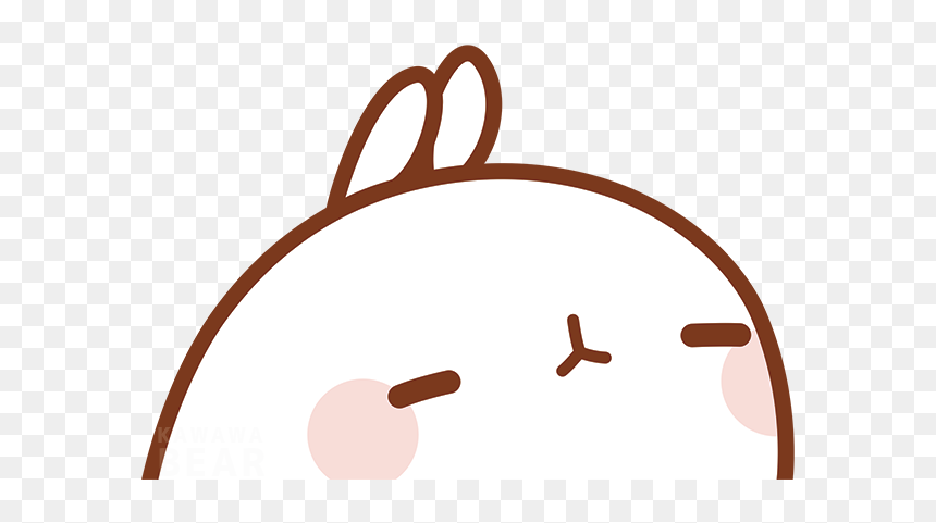 Circle, HD Png Download - molang png