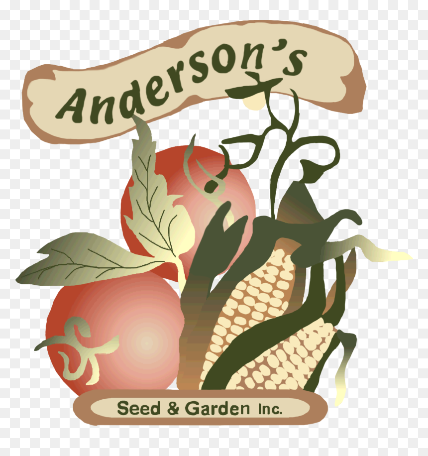 Illustration, HD Png Download - hanging vines png