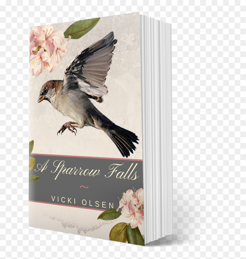 3d Cover - Brambling, HD Png Download - explode png