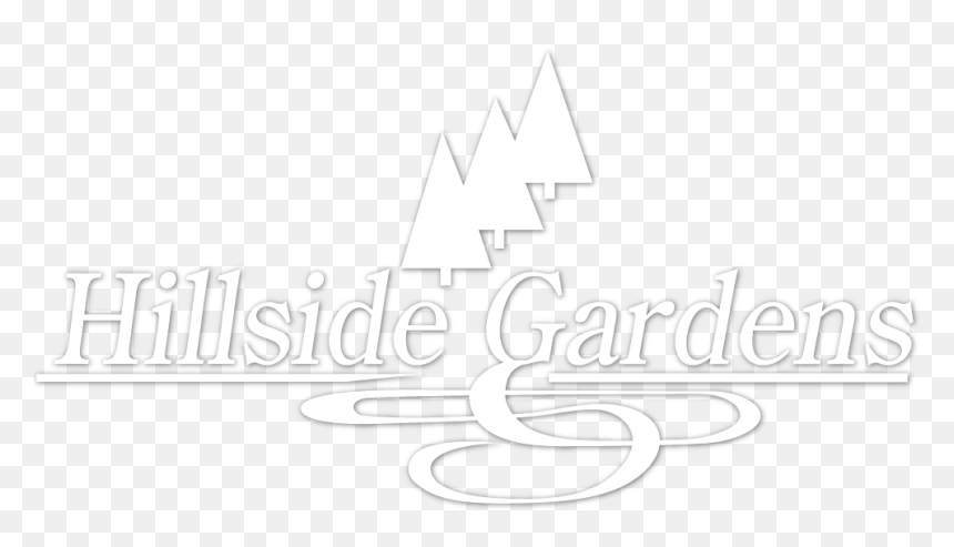 Calligraphy, HD Png Download - hanging vines png