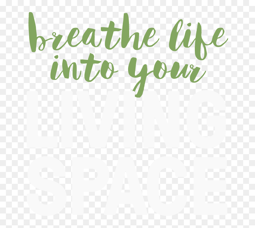 Poster, HD Png Download - hanging vines png