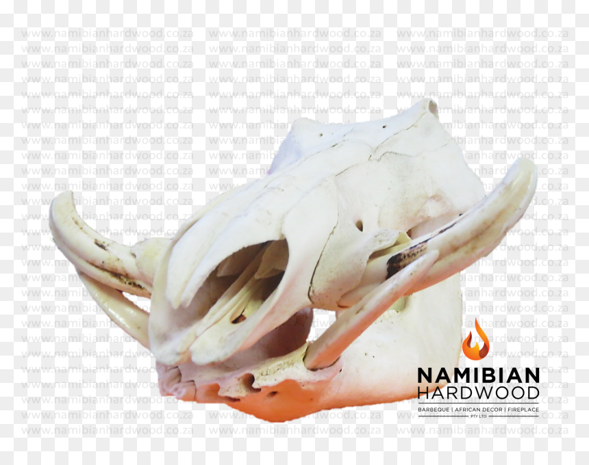 Transparent Transparent Skull Png - Skull, Png Download - pile of skulls png