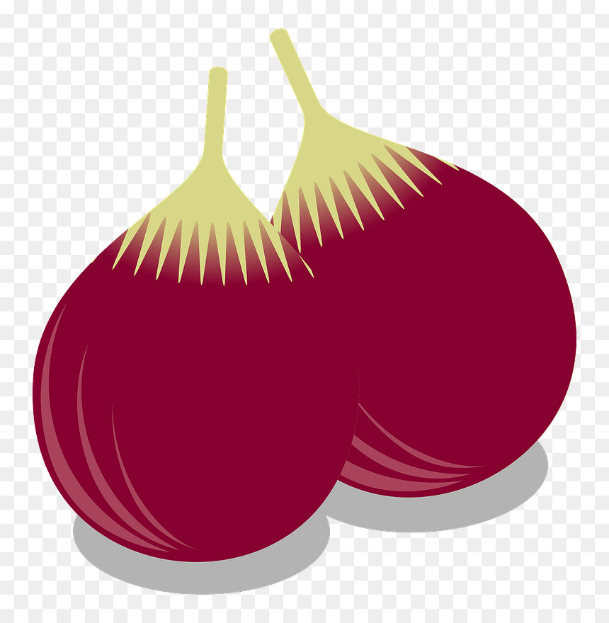 Common Fig Fruit Clipart - Vegetable, HD Png Download - fruit clipart png
