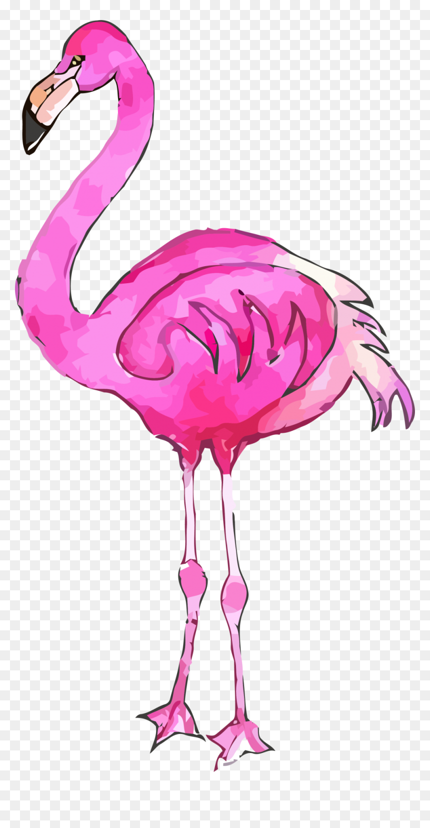 Greater Flamingo, HD Png Download - flamingo clipart png