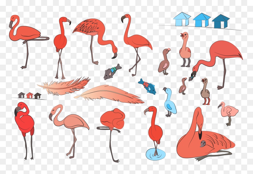 Greater Flamingo, HD Png Download - flamingo clipart png