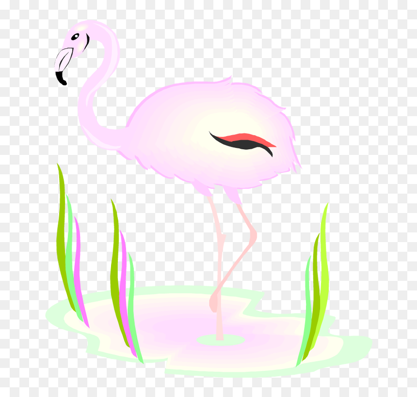 Free Flamingo Clipart - Flamingo, HD Png Download - flamingo clipart png