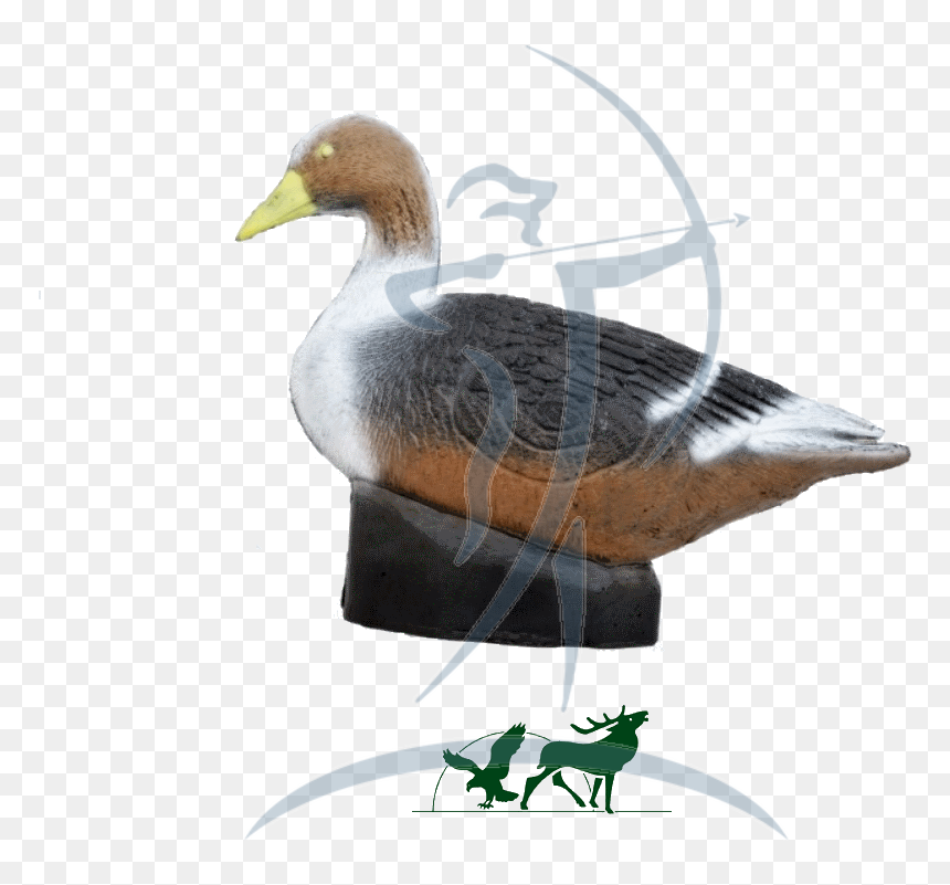 Leitold 3d-target Grey Goose - Mallard, HD Png Download - grey goose png