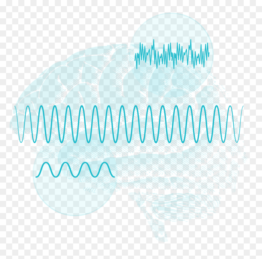 Brain Sports Recovery@2x - Illustration, HD Png Download - brains png