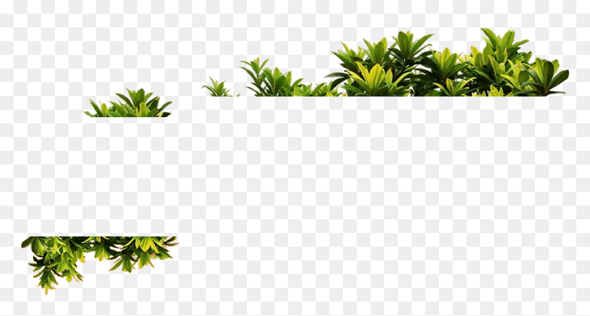 Thumb Image - Plantas Png Para Photoshop, Transparent Png - plantas png