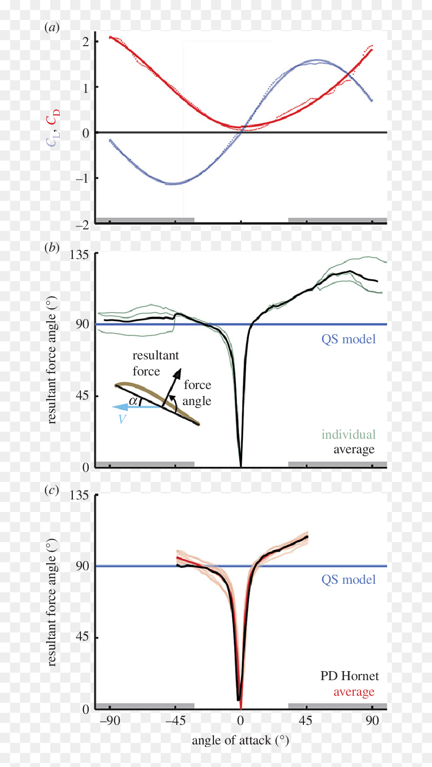 Diagram, HD Png Download - angle wings png