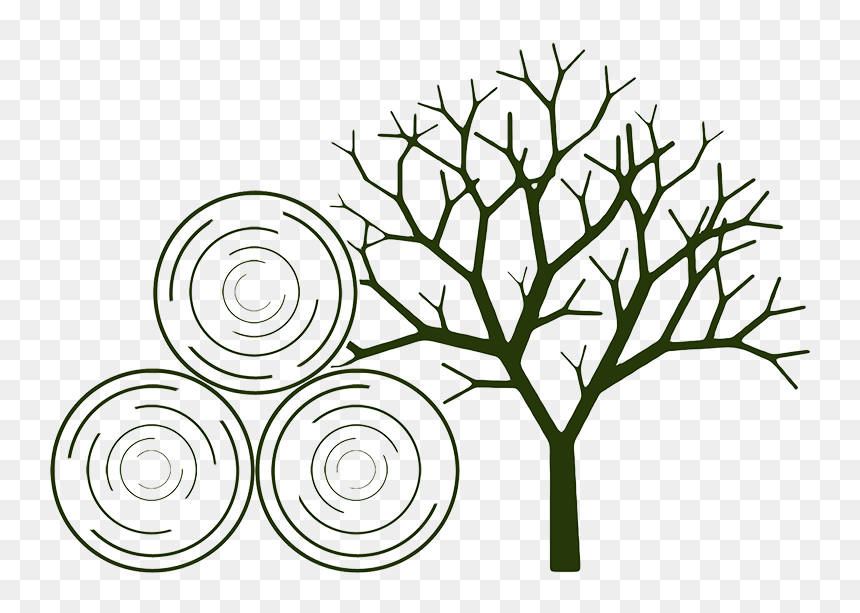 Dead Tree Silhouette Clipart , Png Download - Tree Silhouette To Print, Transparent Png - fire silhouette png