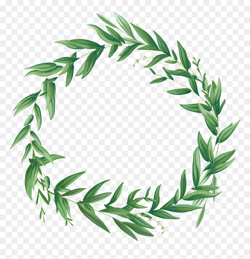 El Círculo De Plantas De Flores Es Un Png Transparente - Plantas Png, Png Download - plantas png