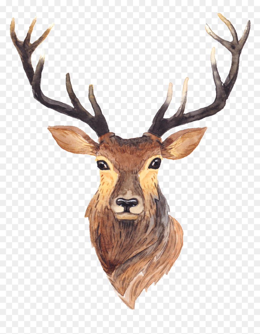 Cartoon Long Horned Deer Transparent Free Buckle Png - Deer Illustration, Png Download - baby deer png