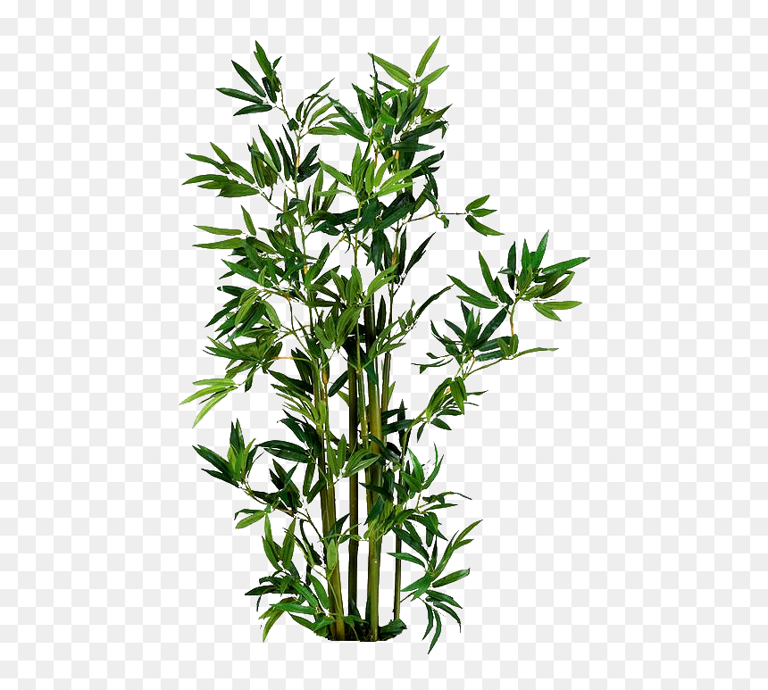 - Arquitectura - Paisajismo - Artificial Bamboo Plant, HD Png Download - plantas png