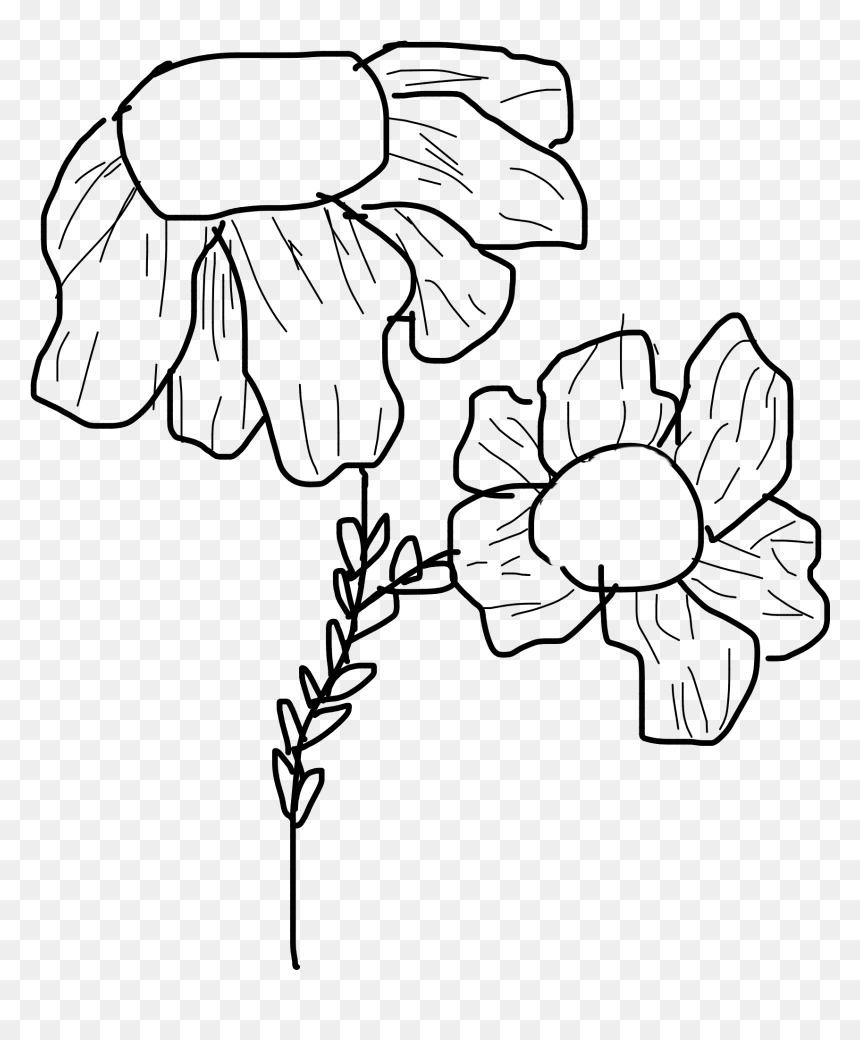 #doodle #flower #flowerdoodle #daisy #daisydrawing, HD Png Download - flower doodle png