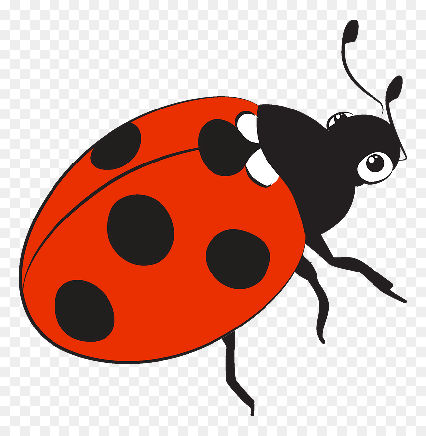 Ladybug Clipart - Kiwi, HD Png Download - ladybug clipart png