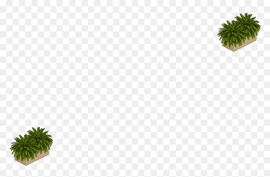 Plantas - Illustration, HD Png Download - plantas png