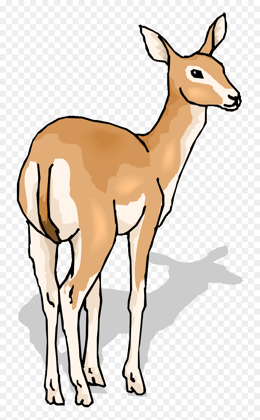 Baby Deer Clip Art Clipart Panda - Deer Gif Clipart, HD Png Download - baby deer png