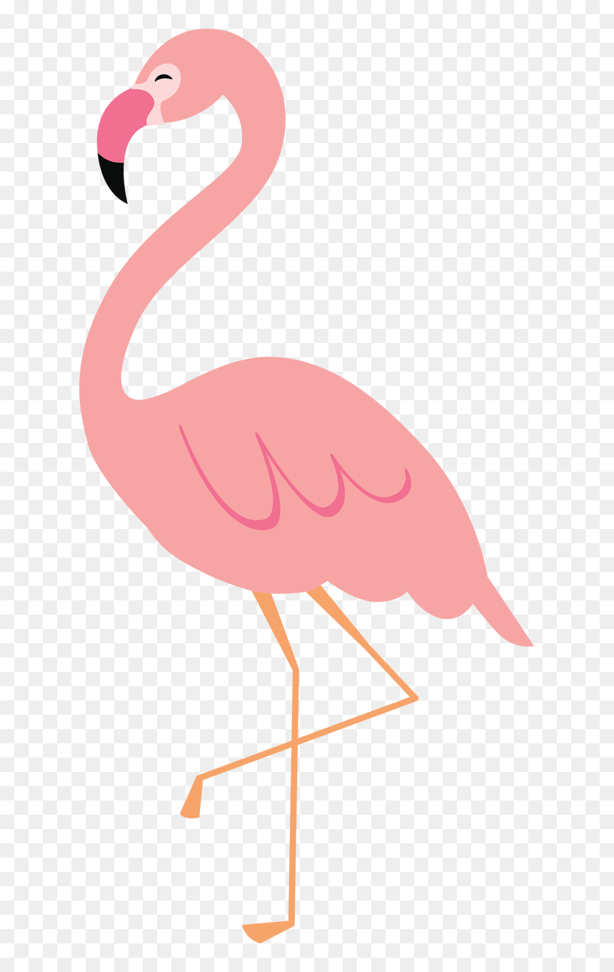 Water Bird, HD Png Download - flamingo clipart png