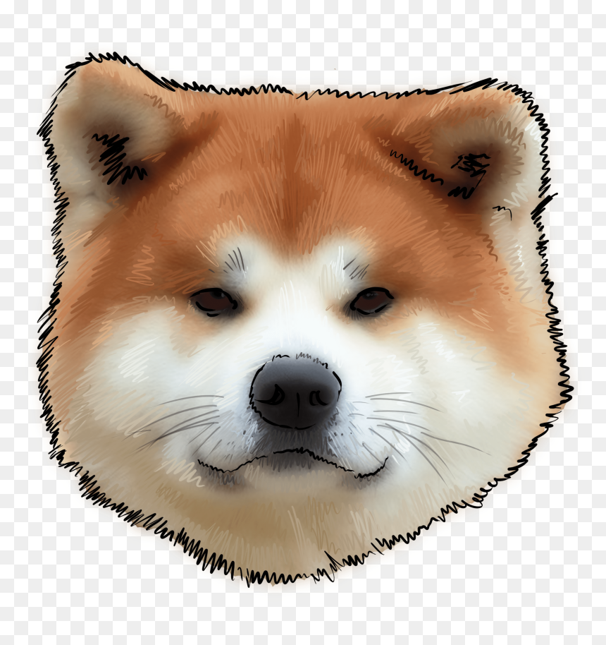 43 Why Are You An Akita - Transparent Akita Head, HD Png Download - cachorro png
