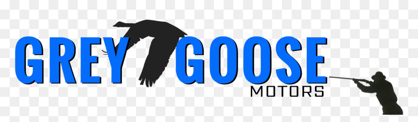 Accipitridae, HD Png Download - grey goose png