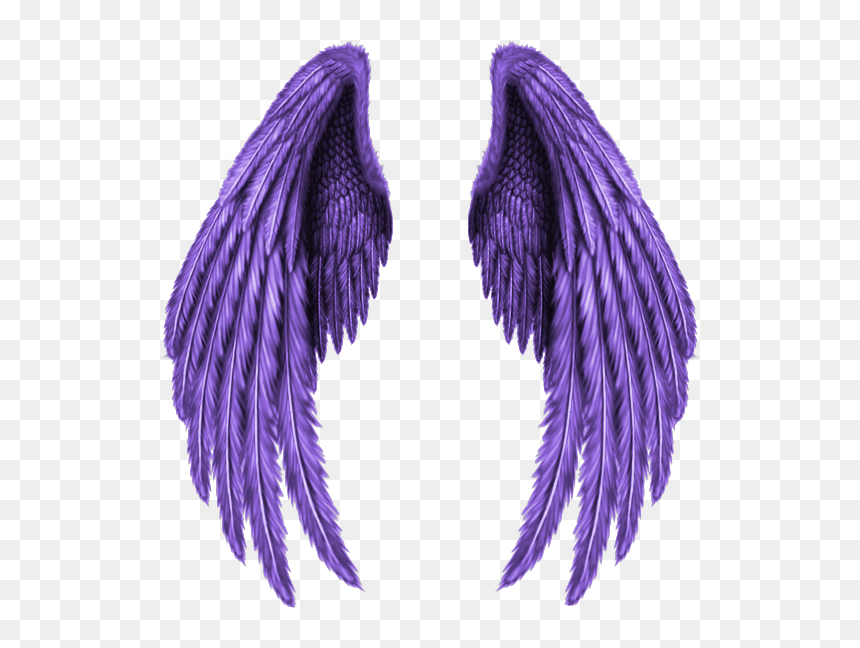 #real #wings #angle #wing #fly #black #bright #fantasy - Transparent Broken Angel Wings, HD Png Download - angle wings png