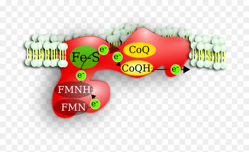 Science Chemicals Clip Arts - Graphics, HD Png Download - chemicals png