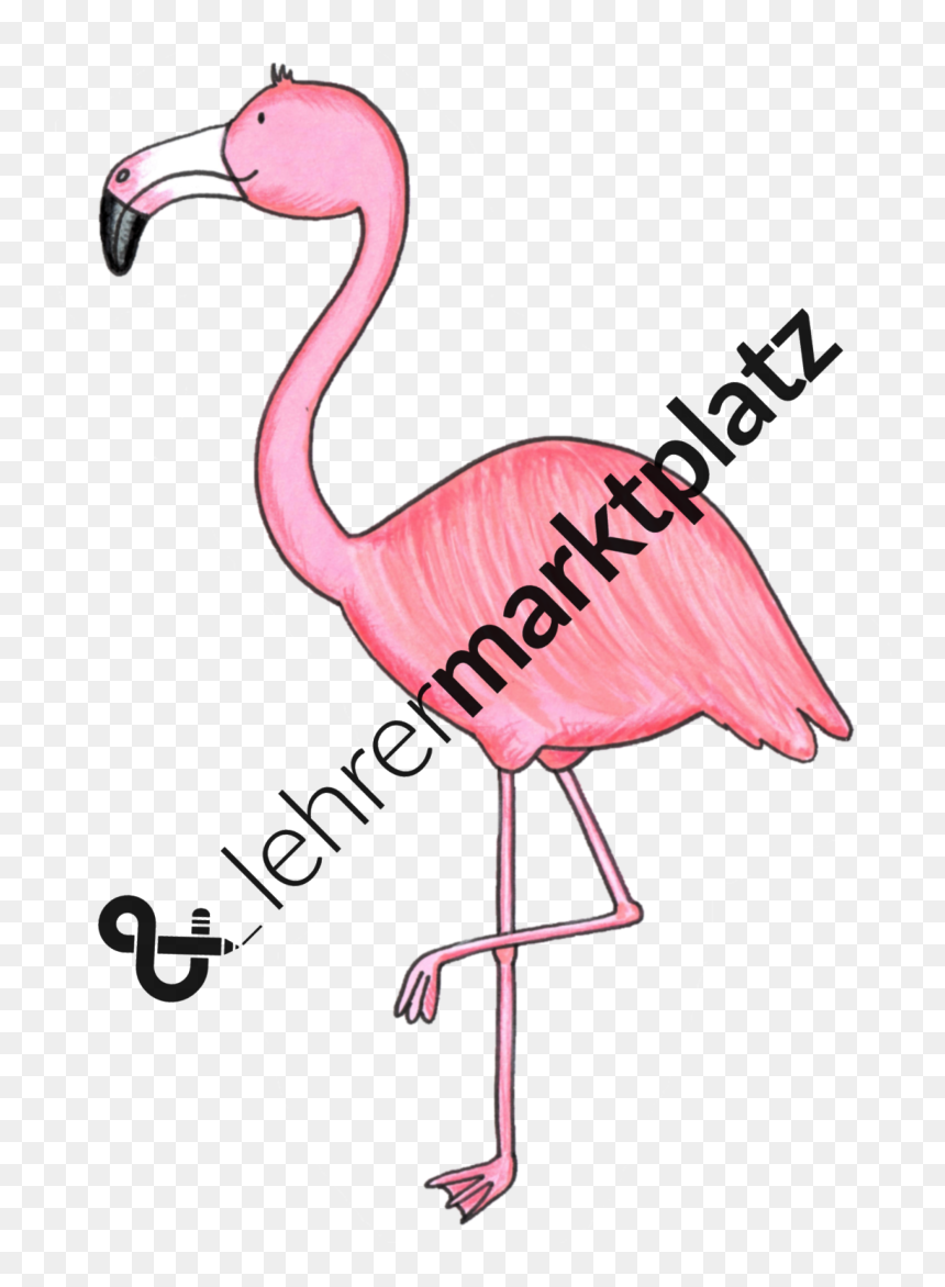 Greater Flamingo Clipart , Png Download - Greater Flamingo, Transparent Png - flamingo clipart png