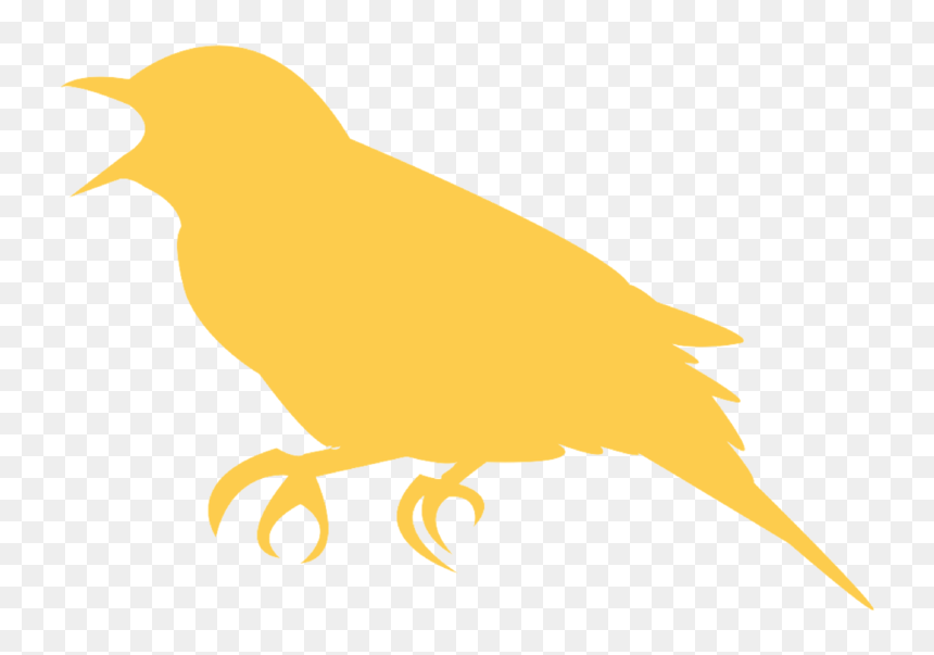 Student, Png Download - Canary, Transparent Png - student silhouette png