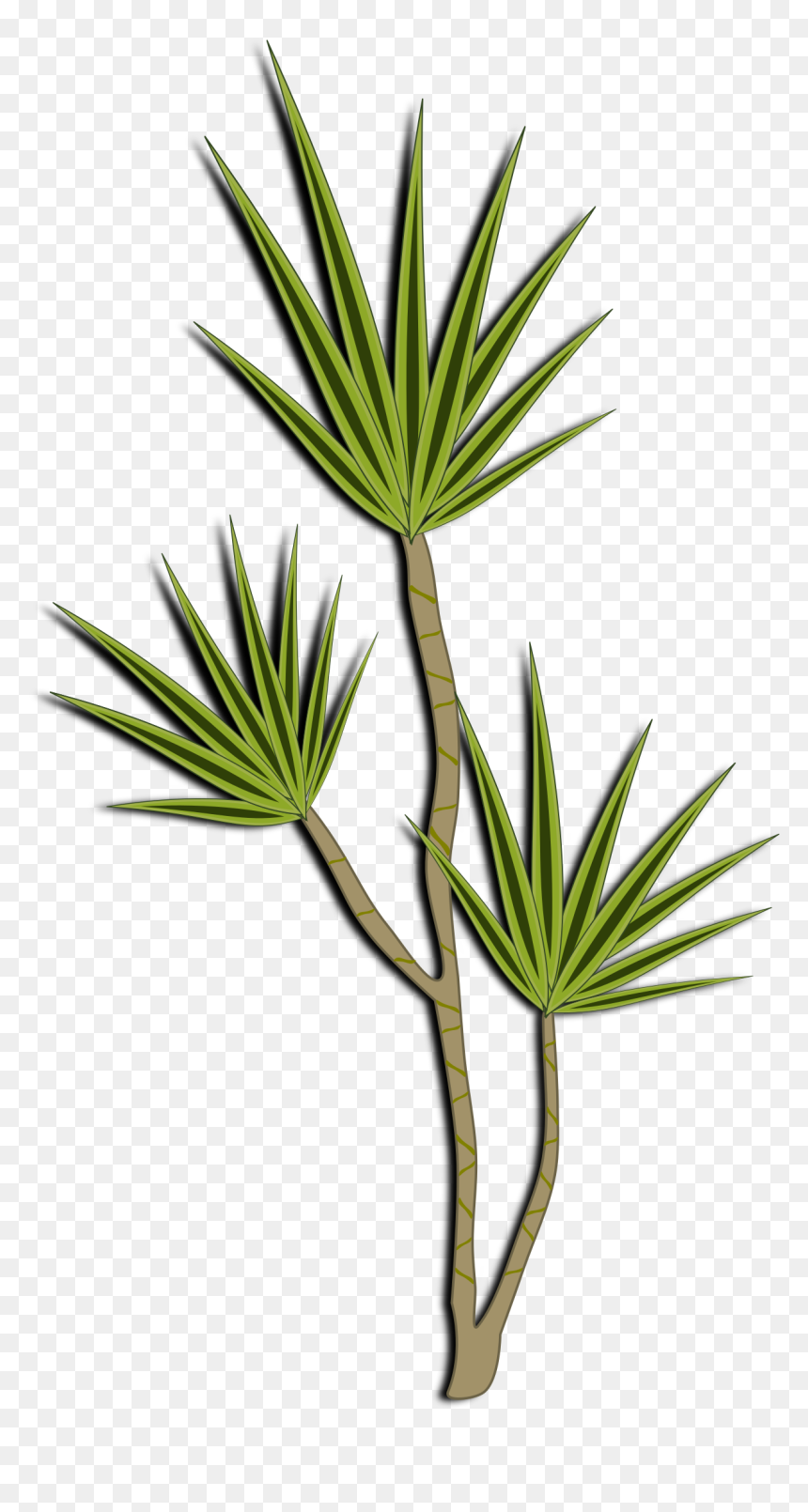 Desert Shrub Clipart , Png Download - Clip Art, Transparent Png - desert bush png