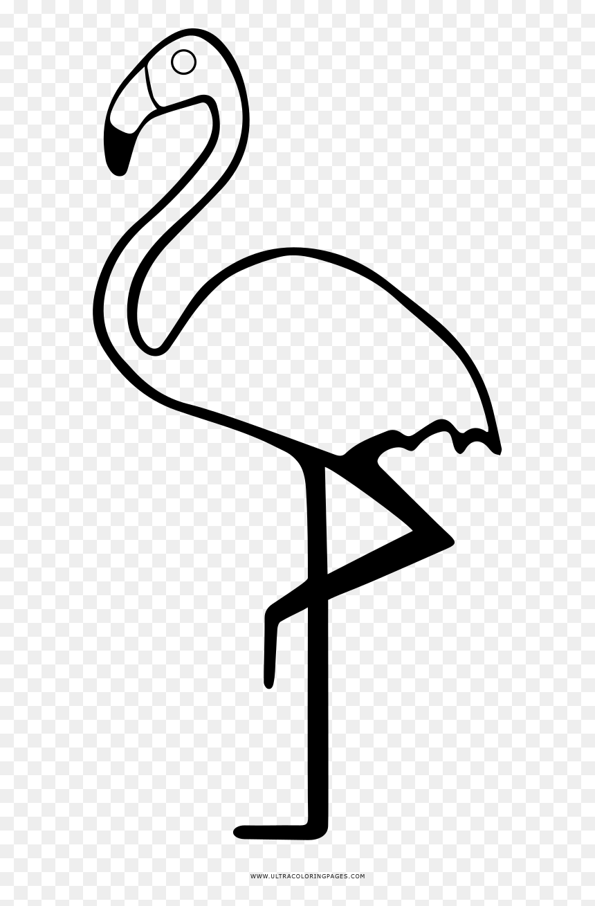 Greater Flamingo, HD Png Download - flamingo clipart png