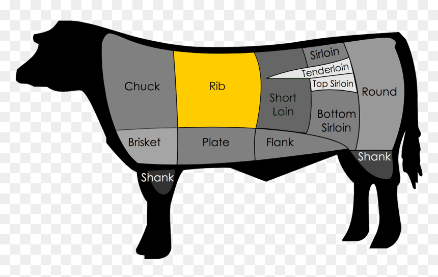 Transparent Rib Cage Png - Rib Steak, Png Download - rib cage png