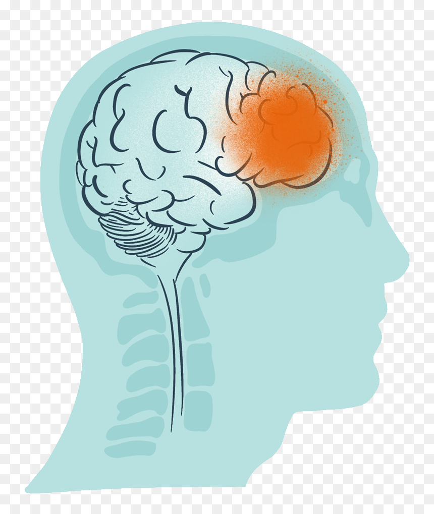 1 - Illustration, HD Png Download - brains png