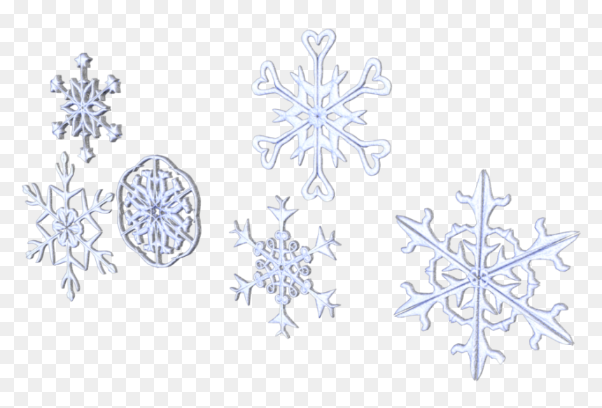 After That, I Added Color, Shading, And Texture To - Drawing, HD Png Download - shading png