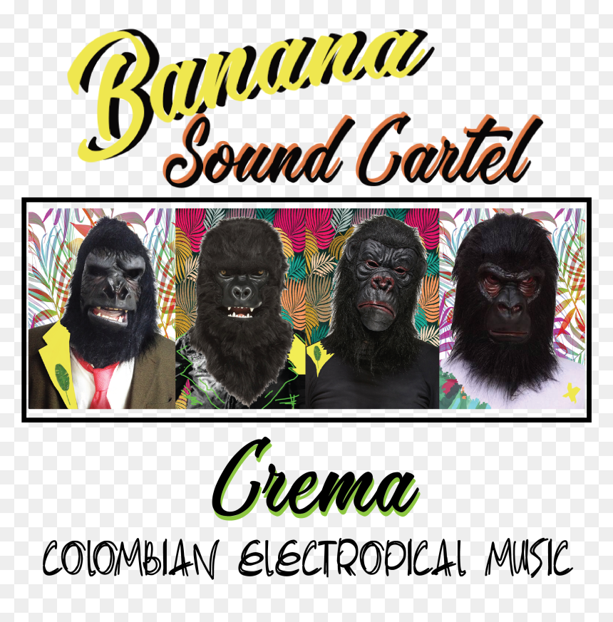 Cartel Png , Png Download - Monkey, Transparent Png - cartel png