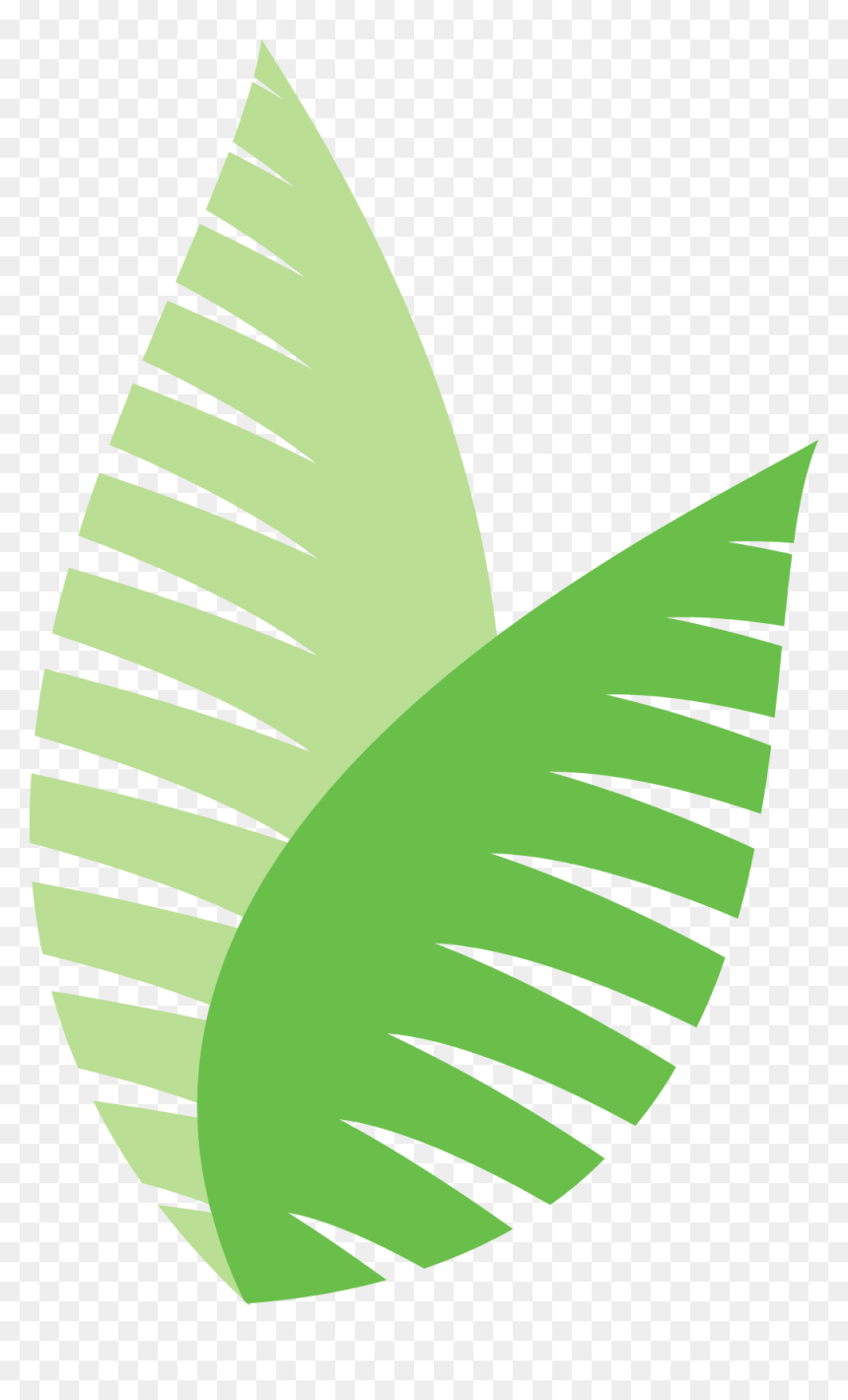 Ecodesign Pflanze Farn - Ecodesign Png, Transparent Png - sugar cane png