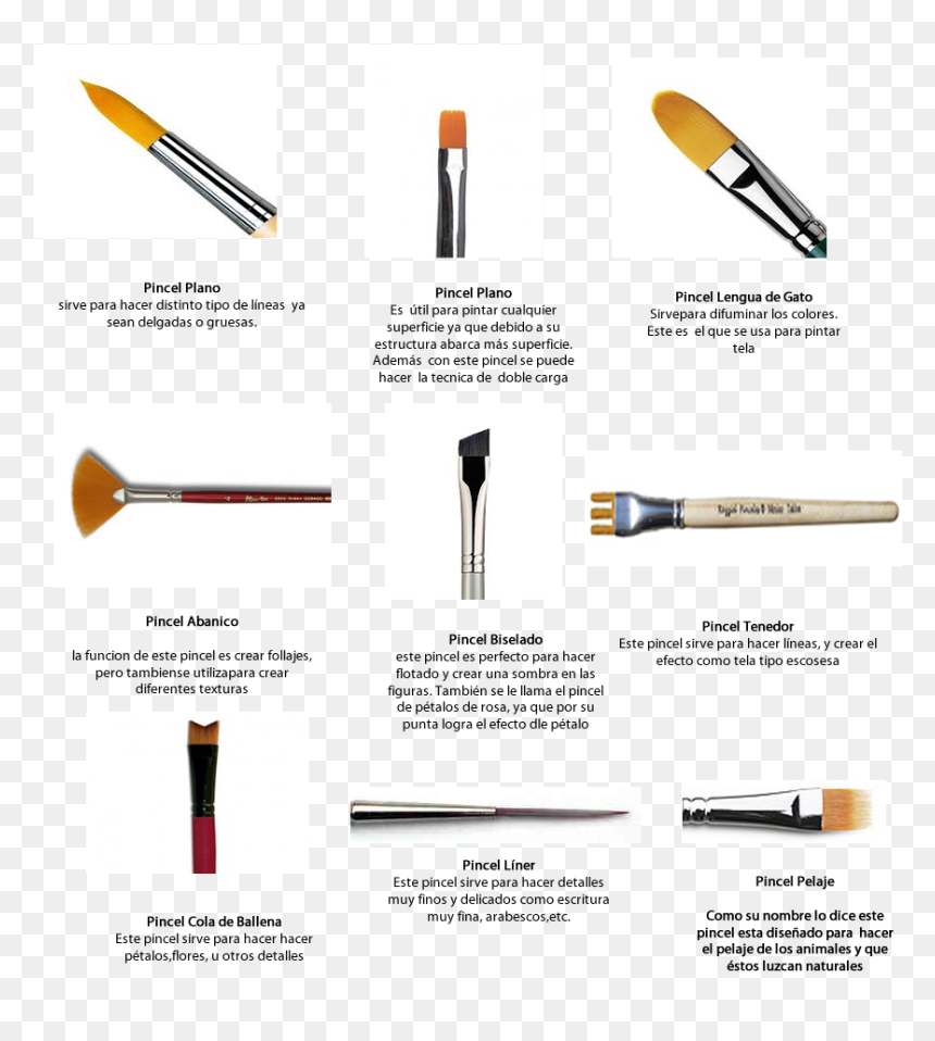 Tipos De Pinceles Y Su Uso, HD Png Download - pincel png