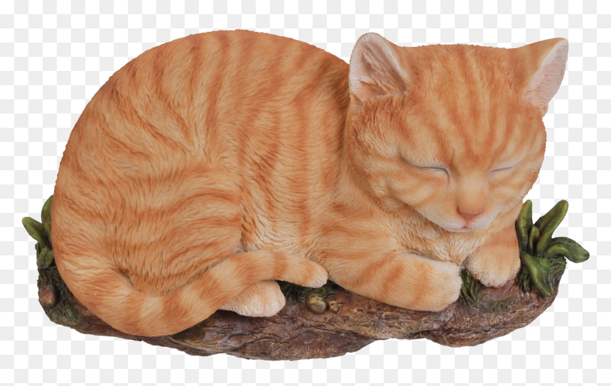 Rl Sleeping Cat Ginger B - Tabby Cat, HD Png Download - sleeping cat png